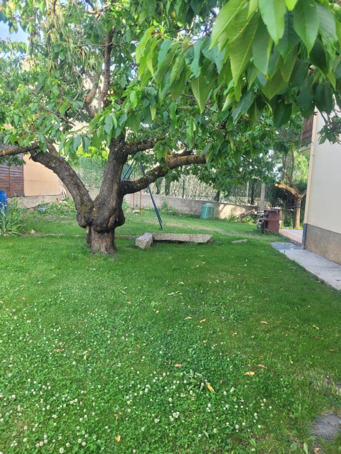 Maison De Vacances Au Coeur De La Cerdagne Angoustrine Dış mekan fotoğraf